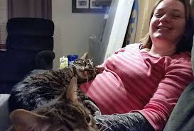 There are 5 pairs of pets, each 3 usd on all platforms. 18 Touching Photos That Show Pets Are Always There For Us