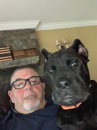 6 month old Corsican ram weighs about 60lb. Located in Valley View Tx.