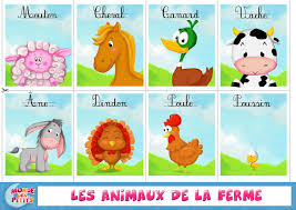 Pin By Elie Jean On Vocabulaire Anglais Francais In 2020 French Lessons Teaching Kids Childhood Education