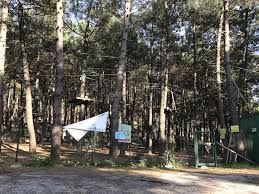 İstanbul mesire alanları, aydos piknik alanı, aydos mesire alanı, nerede piknik yapılır, piknik kanlıca mantarı toplama ve mantar toplanan orman hakkında bilgi aydos ormanı piknik alanı bilgisi. Aydos Ormani Ne Gordum