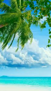 Good Morning Background Wallpapers For Editing Photography Facebook Finally, save the photo with the replaced background by clicking the save. good morning background wallpapers