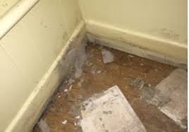 This is not because we have not submitted our business to yelp in an attempt to avoid yelpers. Mold Inspection Testing Tampa Fl 3336 Westmoreland Dr Tampa Fl 33618 Yp Com