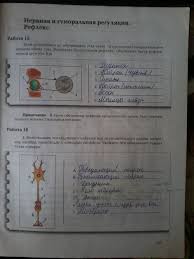 гдз по биологии 8 класс рабочая тетрадь маш 2015 Gdz Po Biologii 8 Klass Mash Dragomilov Rabochaya Tetrad Reshebnik