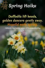 In haiku, flowers are often used as words expressing the season (kigo). Spring Haiku Poems To Put A Spring In Your Step Icreatedaily