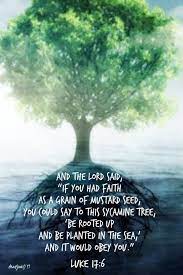 Anastpaul Anastpaul St Martin Of Tours Martin Of Tours Sacred Scripture