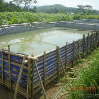 Jual Terpal Kolam Murah A15 Kotak Ukuran 4 X 6 Meter Tinggi Pas 1 Meter Kota Surabaya Tunggal Jaya Terpal Tokopedia