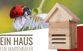 Stabiles großes marienkäferhaus aus 18mm starker, niederbayerischer fichte. Wildtier Herz I Marienkaferhaus Wetterfest Und Unbehandelt I Massiv Holz Marienkafer Insektenhotel I Marienkaferhotel Insektenhotels Insekten Hotel Amazon De Garten
