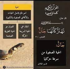 pin on كلمة فى صورة