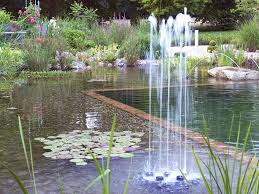 Maybe you would like to learn more about one of these? How To Build Your Own Garden Pond Realestate Com Au