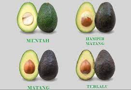 Find images of alpukat buah. Tips Pilih Buah Avokado Dengan Betul Untuk Bayi Anda Yang Nak Diet