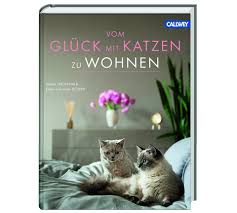 Vermisst katze in 5737 menziken / erstelle ein suchplakat mit einem bild vom vierbeiner und deinen kontaktangaben. Vom Gluck Mit Katzen Zu Wohnen Schoner Wohnen