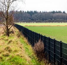 Deutschland bestreitet vor der em ein testspiel gegen dänemark. Wildschweine Dieser Zaun Belastet Das Deutsch Danische Verhaltnis Welt