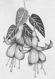 Pin On Pencil Art