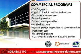 Our trained and certified technicians provide customized pest removal solutions to both residential and commercial customers. The Best Pest Control Exterminators In Maple Ridge Canada Whodoyou