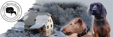 Image result for bavorský barvář