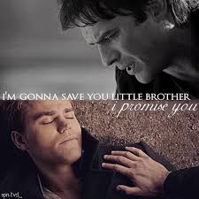 Sarah Rais (sarahrais123)