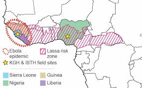 Image result for Lassa Fever