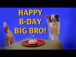 Maybe you would like to learn more about one of these? Happy Birthday Big Brother Youtube