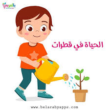 بحث عن أهمية الماء للكائنات الحية Mario Characters Character Fictional Characters