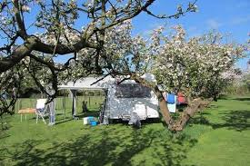 Camping In Het Fruit Zuidoostbeemster Nederland Zoek En Boek Via Acsi In 2020 Camping Nederland Sint Maarten