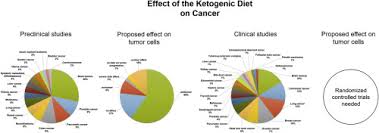 Process • recognize a sample meal plan or formula. Ketogenic Diet In The Treatment Of Cancer Where Do We Stand Sciencedirect