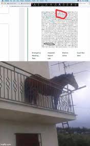 Collection by savannah scott • last updated 2 weeks ago. Juan Memes Gifs Imgflip