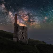 Image result for Wheal