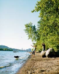 Observe the bonsai trees and delicate cherry blossoms among the many plants and trees throughout. One Perfect Day In Portland S Sellwood Neighborhood Sunset Magazine