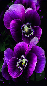 Https Encrypted Tbn0 Gstatic Com Images Q Tbn And9gcty Eii70qslw5by1moshuv7pys Vpr4ofzq Usqp Cau