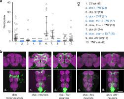 Sexual fluidity meaning & explanation, bisexuality vs pansexuality: Female Copulation Song Is Modulated By Seminal Fluid Nature Communications