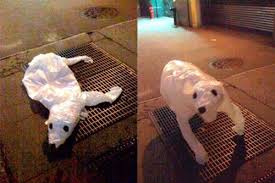 When The Train Rushes Below The Puff Of Air Makes The Animal Jump To Life Urban Art Installation Political Art Street Art