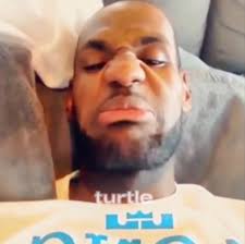 Lebron James Turtle
