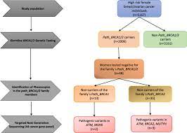 Ovarian cancer is a malignancy arising from the ovary. Diagnosis Code For Family History Of Ovarian Cancer Familyscopes