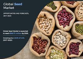 2:1 seeding ratio or 24h. Seed Market Size Share Growth Industry Research Report 2023