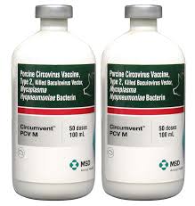 نتیجه جستجوی لغت [circumvent] در گوگل