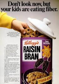 a giant raisin bran cookies recipe from