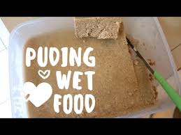 Makanan kucing persia buat sendiri. Cara Membuat Makanan Basah Untuk Kucing Youtube