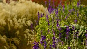 Tucked away in a victorian glass house, you can find numerous exotic plants from all over the world. Lincoln Park Pictures View Photos Images Of Lincoln Park