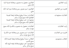 قواعد النحو والصرف دليل كتابة المحتوى باللغة العربية بيانات