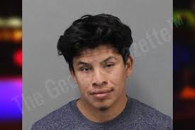 Tomas Domingo — White County Jail Bookings