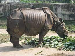 Bangladesh National Zoo Dhaka Ticket Price Timings Address Triphobo