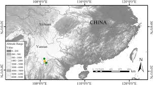 Image result for Fagopyrum snowdenii