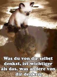 Was Du Von Dir Selbst Denkst Ist Wichtiger Als Das Was Andere Von Dir Denken Spruche Bild Weisheiten Spruche Lebensweisheiten Spruche Nachdenkliche Spruche