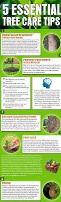 Pin On Tree Service