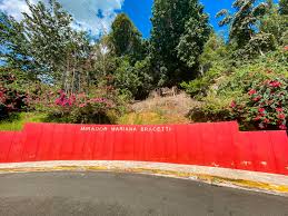Check spelling or type a new query. Mirador Mariana Bracetti Discover Puerto Rico