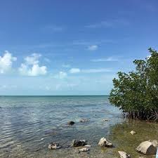 John Pennekamp Coral Reef State Park (2025)