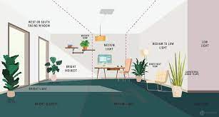 Light Requirements For Plants Explained La Residence Plant Care Tips And More Plant Lighting Indoor Plant Lights Houseplants