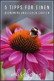 5 tipps fur einen bienenfreundlichen garten ich seh grun bienenfreundlicher garten winterharte stauden bienenfreundliche pflanzen