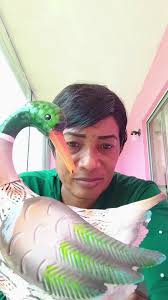 Frances Jean Purnell