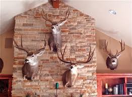We did not find results for: Trophy Room Pictures Page 3 Africahunting Com
